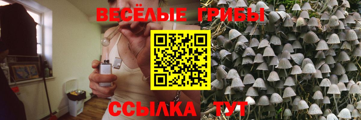 Елабуга  Галлюциногенные грибы GOLDEN TEACHER  Вход с VPN 