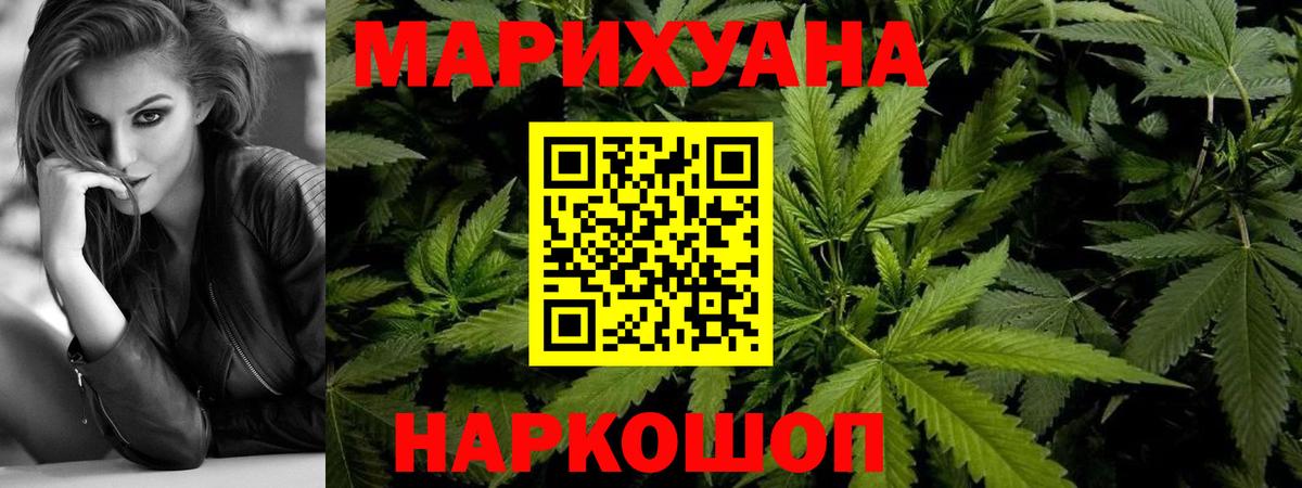 Бошки марихуана планчик  Вход с VPN  Каннабис ГИДРОПОН  Елабуга  Бошки Шишки гибрид  Бошки марихуана Ganja 